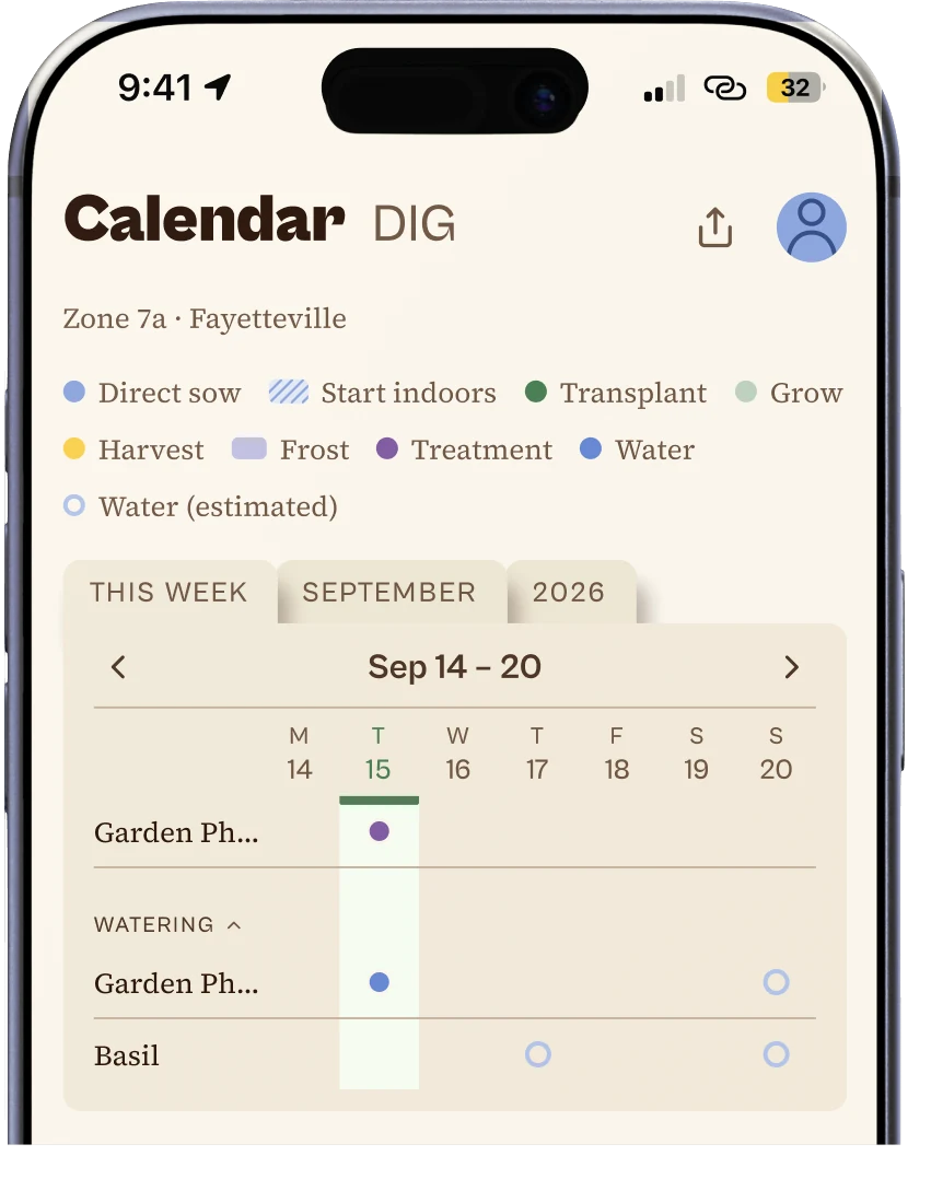 Ezina's calendar for Sept 14 to 20: Garden Phlox is due water on Tuesday, with estimated waterings later in the week for it and for basil.