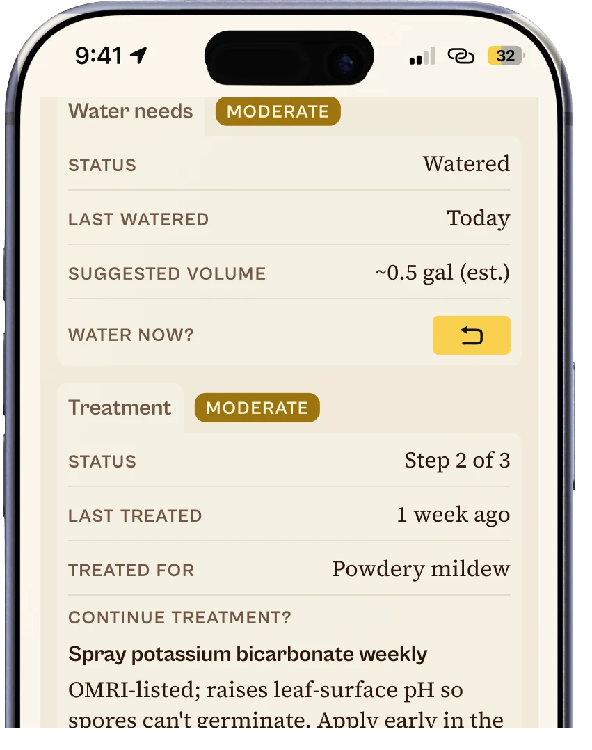 The same card after logging: Watered, last watered today, with an Undo button.