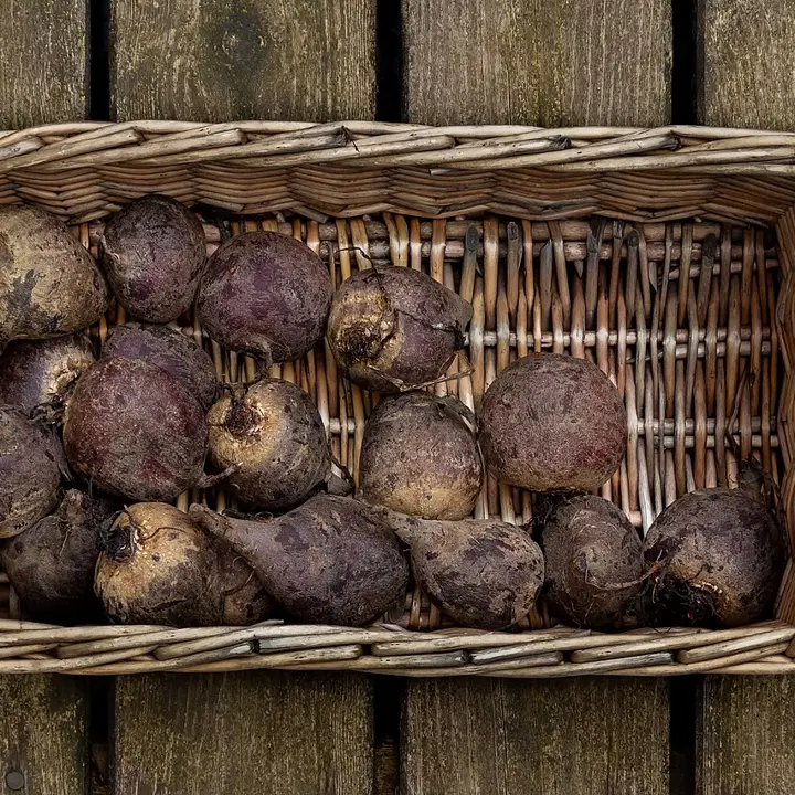Beets