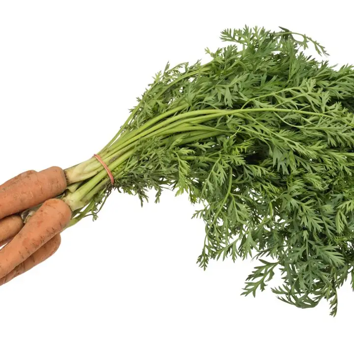 Carrots