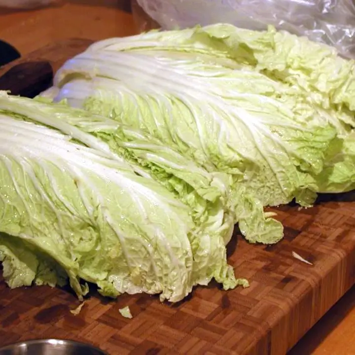 Chinese cabbage