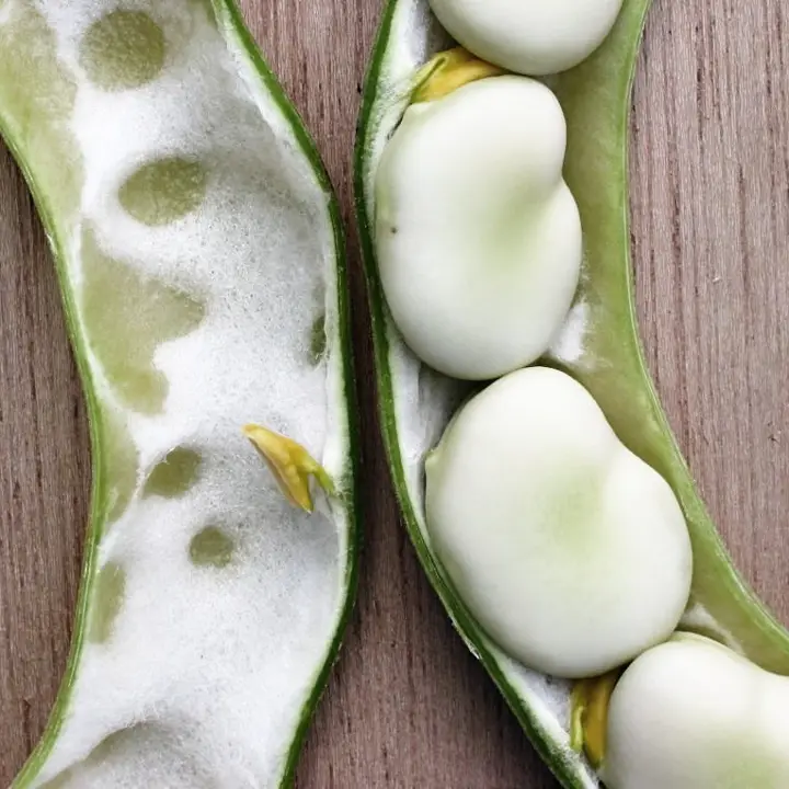 Fava beans