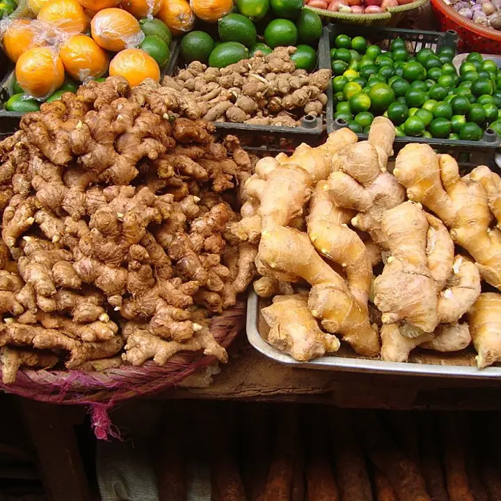 Ginger