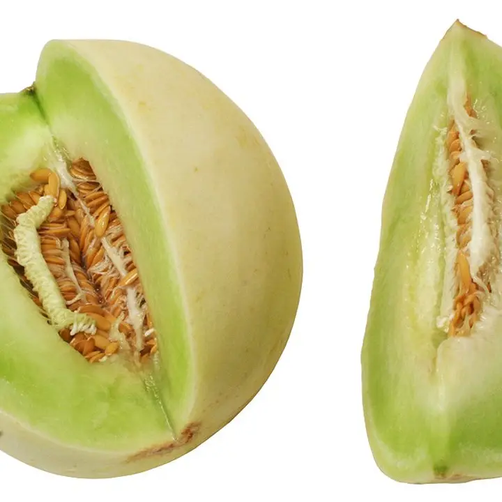 Honeydew