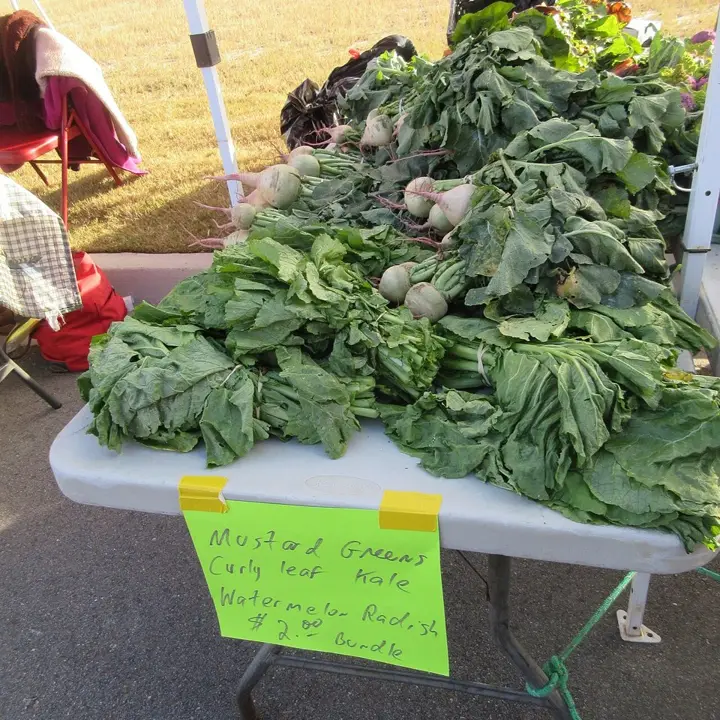 Mustard greens