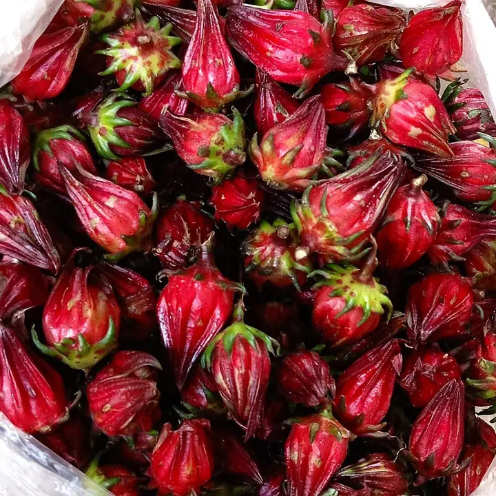 Roselle
