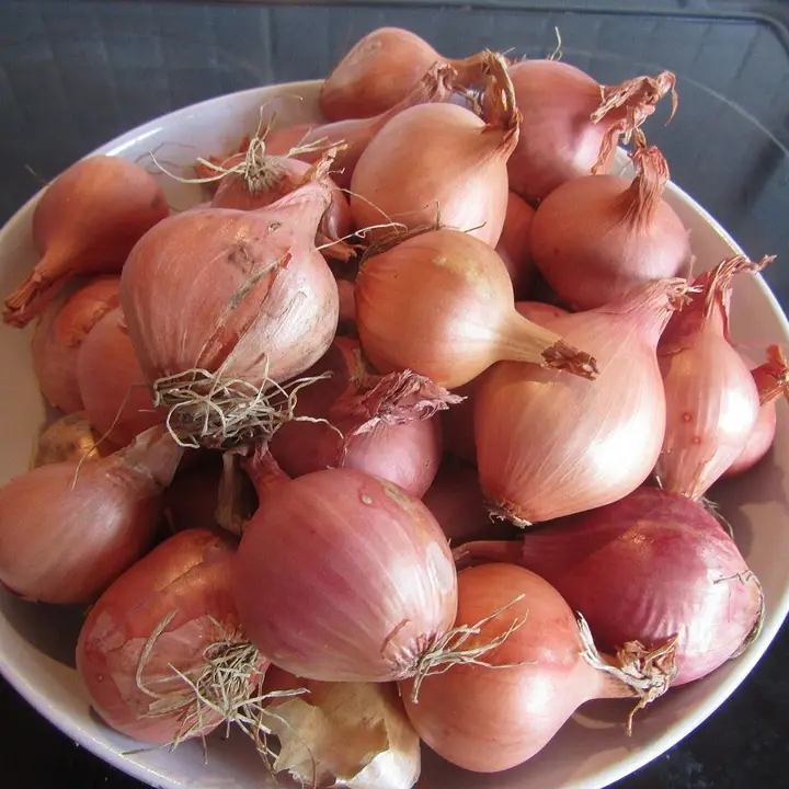 Shallots