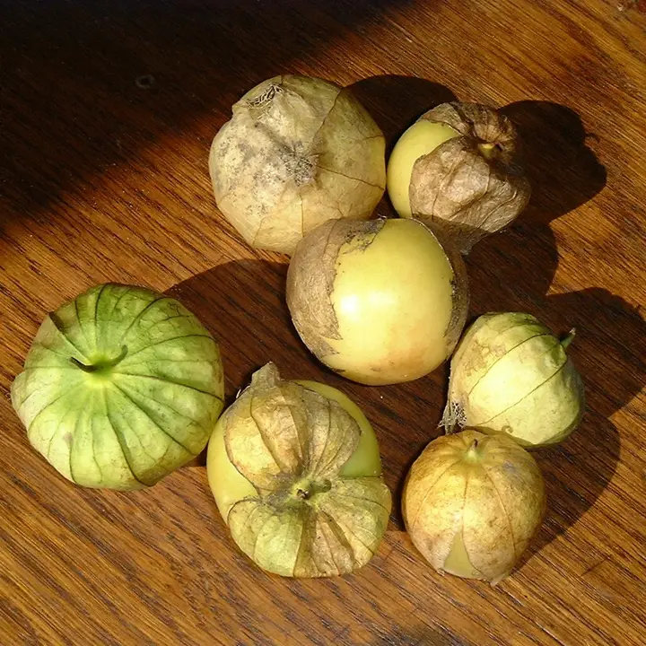 Tomatillos